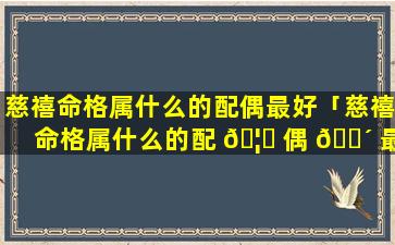慈禧命格属什么的配偶最好「慈禧命格属什么的配 🦉 偶 🐴 最好呢」